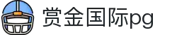 赏金国际pg - 赏金国际游戏平台 - 《线路检测中心》